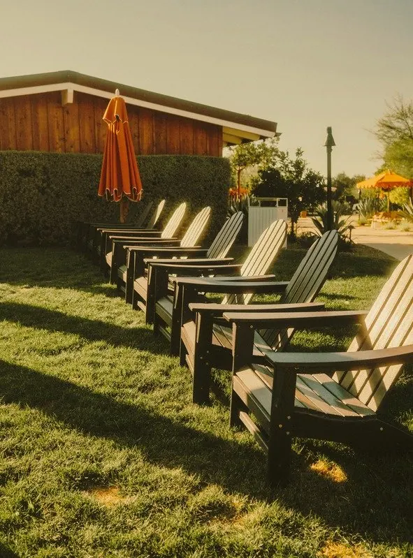 Adirondack chairs lined up on a lawn at golden hour