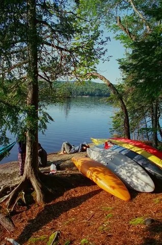 Kayaks pulled up on a wooded lakeshore